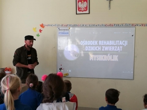 Mysikrólik ratuje i edukuje