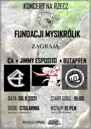 Koncert na rzecz Fundacji Mysikrólik