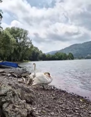 Ledwo widoczne a niebezpieczne nitki, żyłeczki i inne sznureczki...